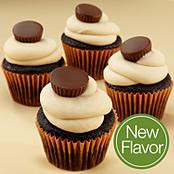CupCakes blackchoc